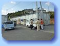 Report on Door-to-Door temporary housing